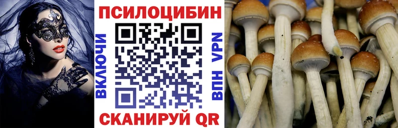 где купить наркоту  Орехово-Зуево  Галлюциногенные грибы GOLDEN TEACHER 